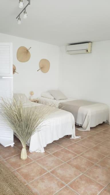 Maison Planier, Havre De Paix Proche Mer Et Centre Sausset-les-Pins Extérieur photo